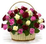 Букеты цветов Красивые  розы в корзине аватар