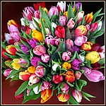 Букеты цветов Тюльпаны для Галочки аватар