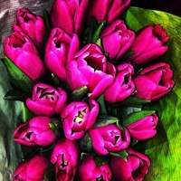 Букеты цветов Букет тюльпанов малиновых аватар