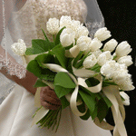Букеты цветов Букет белых тюльпанов аватар