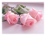 Букеты цветов Три прекрасные розовые розы аватар