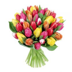 Букеты цветов разноцветные тюльпаны аватар