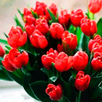 Букеты цветов Букет алых тюльпанов аватар