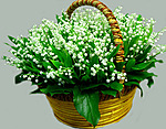 Букеты цветов Корзина с подснежниками аватар
