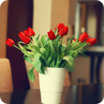 Букеты цветов Красивый букет красных тюльпанов аватар
