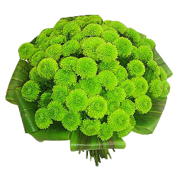 Букеты цветов Зеленый букет аватар
