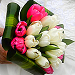 Букеты цветов Букет из розовых и белых тюльпанов в руке человека аватар