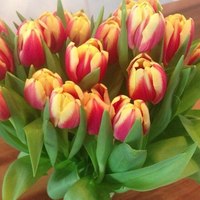 Букеты цветов Букет тюльпанов желто-красных аватар