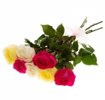 Букеты цветов 7 роз микс аватар