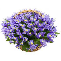 Букеты цветов Корзина с синими цветами аватар