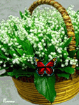 Букеты цветов Подснежники в корзинке аватар