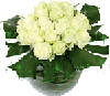 Букеты цветов Букет белых роз с листвой аватар