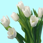 Букеты цветов Букетик белых тюльпанов аватар
