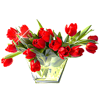 Букеты цветов Блестящий букет аватар