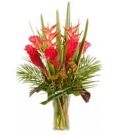 Букеты цветов Красная геликония и имбирь аватар