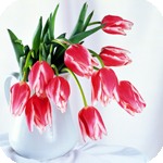 Букеты цветов Букет тюльпанов аватар