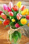 Букеты цветов Ваза тюльпанов аватар