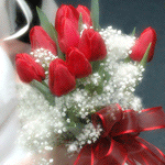 Букеты цветов Букет тюльпанов с очаровательными белыми цветочками аватар