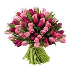 Букеты цветов Розовые и бордовые тюльпаны. букет аватар