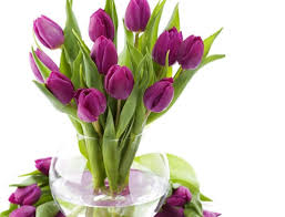 Букеты цветов Тюльпаны к 8 марта в вазе аватар