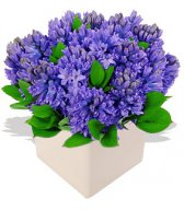 Букеты цветов Букет красивых синих цветов аватар