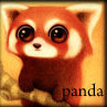 Панды Рредкий вид - рыжая панда аватар