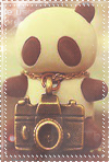 Панды Игрушка панда с  фотоаппаратом аватар
