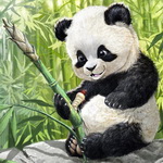 Панды Панда со стеблем бамбука аватар