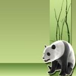 Панды Панда на зеленом фоне аватар