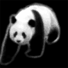Панды Идущая панда аватар