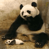 Панды Панда с малышом аватар