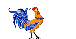 Домашняя птица, куры, утки, гуси Петух с сине-голубым хвостом аватар