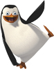Пингвины Пингвин на одной лапе аватар