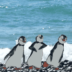 Пингвины Пингвины танцуют на берегу моря аватар