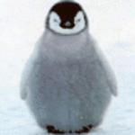Пингвины Пингвин на фоне снега аватар