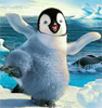 Пингвины Пингвин сопротивляется ветру аватар