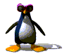Пингвины Пингвин в очках аватар