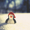 Пингвины Пингвин-игрушка в шапке в снегу аватар