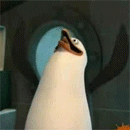 Пингвины Пингвин из мадагаскара аватар