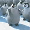 Пингвины Танцующие пингвины аватар