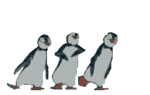 Пингвины Пингвиньи танцы аватар
