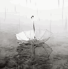 Погода Брошенный зонтик под дождём аватар