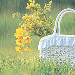 Погода Сумка с цветами стоит под дождём аватар