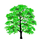 Погода Преображение дерева аватар