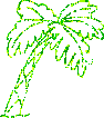 Погода Блестящая пальма аватар