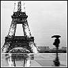 Погода Париж. дождь аватар