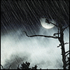 Погода Темная ночь, луна, идет дождь аватар