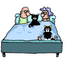 Пожилые люди Двое в кровати, не считая кошек аватар