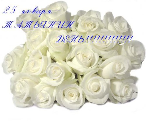 Праздники 25 января -Татьянин день! Белые розы аватар