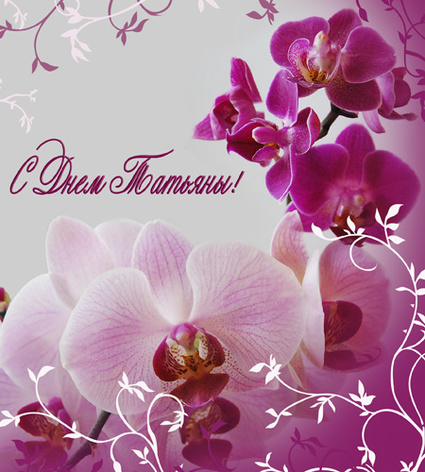 Праздники С днем Татьяны!Татьянин день. Розовые орхидеи аватар